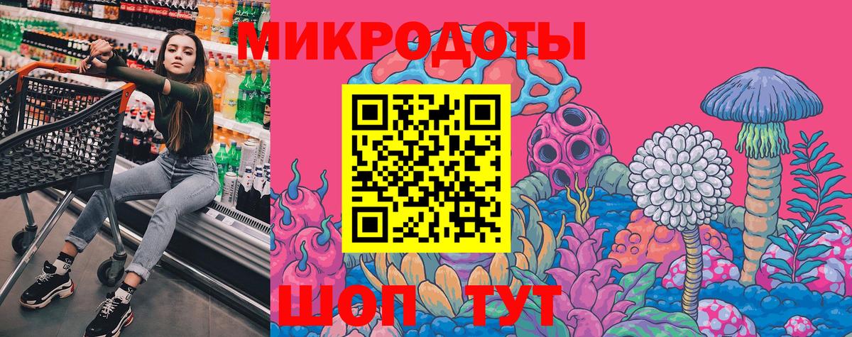 Галлюциногенные грибы Psilocybine cubensis  Псилоцибиновые грибы MAGIC MUSHROOMS  Осинники  Вход с VPN 